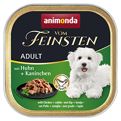 Adult in Sauce