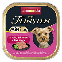 Adult Mini