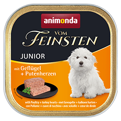 Junior